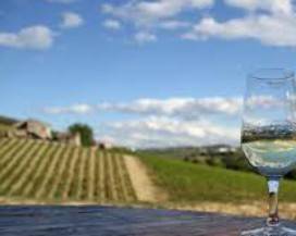 CITTA’ DEL VINO: PIOGGIA MEDAGLIE D’ORO PER L’ABRUZZO AL CONCORSO INTERNAZIONALE