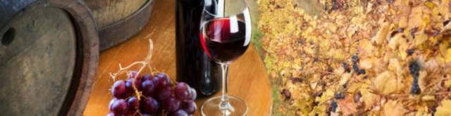 VINITALY: PRESENTAZIONE APP ‘PERCORSI’. ECCO APPUNTAMENTI ‘SPAZIO ABRUZZO’