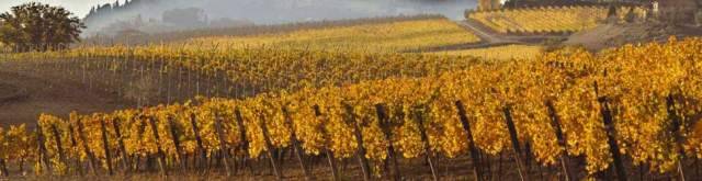 ABRUZZO: EXPORT IN CALO NEL SECONDO TRIMESTRE 2019, BENE SOLO MOBILIO E VINI