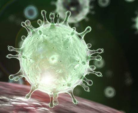 CORONAVIRUS: L’ESPERTO, ”NON TIENE CONTO DELLE VARIAZIONI CLIMATICHE”
