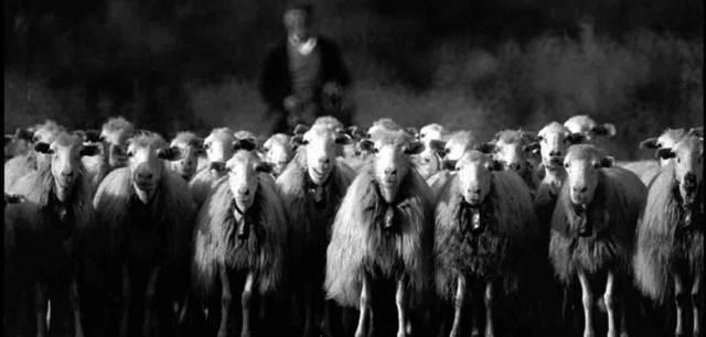 SETTEMBRE ANDIAMO E’ TEMPO DI MIGRARE, PASTORI 2.0 CHE SCAPPANO DALLL’ABRUZZO