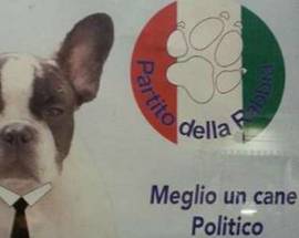 REGIONALI SICILIA: ‘VOTA STEFANO’, IL CANE CANDIDATO ALLE ELEZIONI