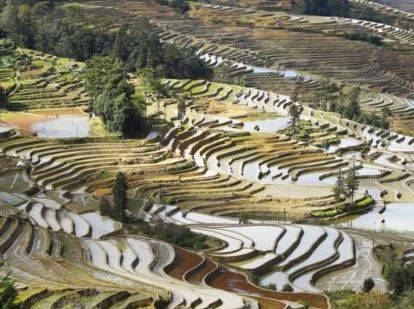 AGRICOLTURA TERAMO: VISITA DELEGAZIONE DELLA PROVINCIA CINESE DI  YUNNAN