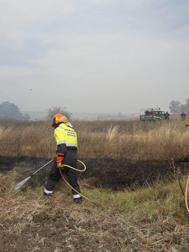 INCENDI: SINDACO DI ATESSA CHIEDE NUCLEO SPECIALE INVESTIGATIVO