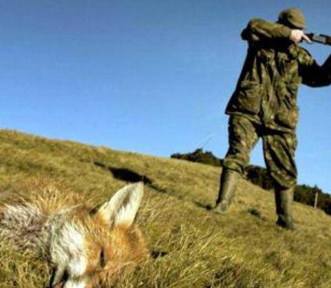 COVID: COSPA VS WWF, “DEROGHE PER CACCIA TUTELANO AGRICOLTURA”