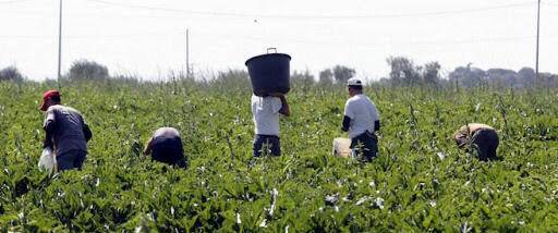 CAPORALATO: COLDIRETTI L’AQUILA, “CONTROLLI NECESSARI MA SENZA PENALIZZARE IMPRESE”