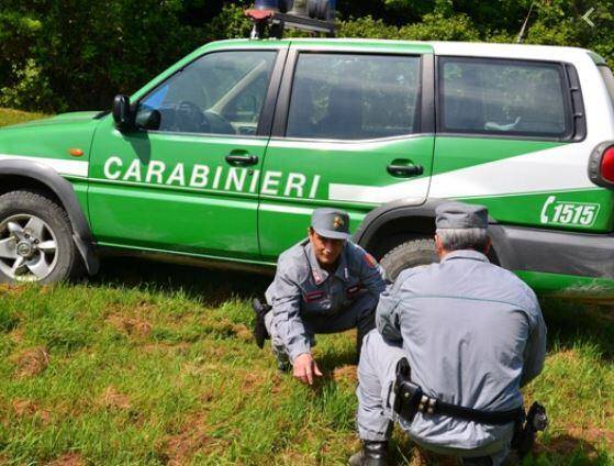 BIODIVERSITA’: CARABINIERI FORESTALI SULLA PRESTIGIOSA RIVISTA NATURE