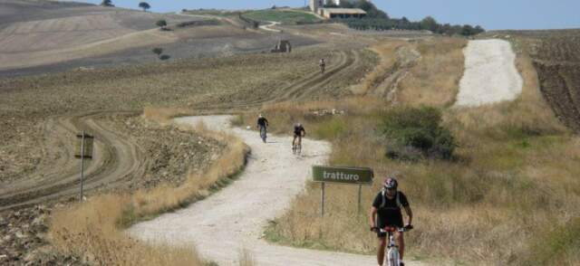 AMBIENTE: GIUNTA REGIONALE APPROVA PROGETTO TRANSUMANZA E TRATTURI