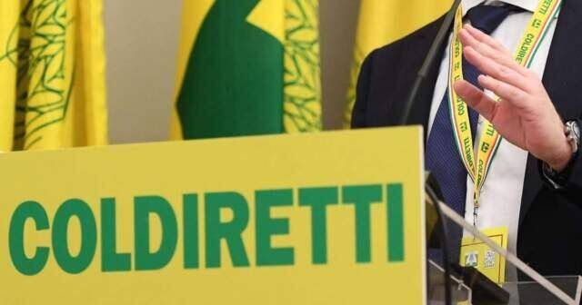ELEZIONI CHIETI: MENSE, FILIERA CORTA E PROMOZIONE AGROALIMENTARE, COLDIRETTI INCASSA IMPEGNO CANDIDATI