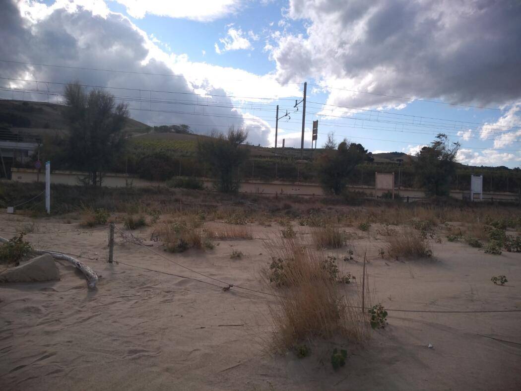 PINETO: DUNE AUMENTATE A TORRE DEL CERRANO GRAZIE ALLA CHIUSURA DISPOSTA DAL COMUNE