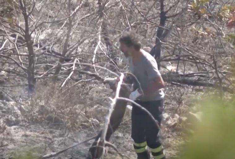 INCENDI: BRUCIA ANCORA MONTAGNA BUSSI, IN FUMO  270 ETTARI, SPENTI FOCOLAI A COLLEPIETRO