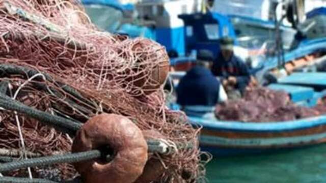 SI TORNA A PESCARE IN ADRIATICO: COLDIRETTI, “ATTENZIONE A PROVENIENZA”