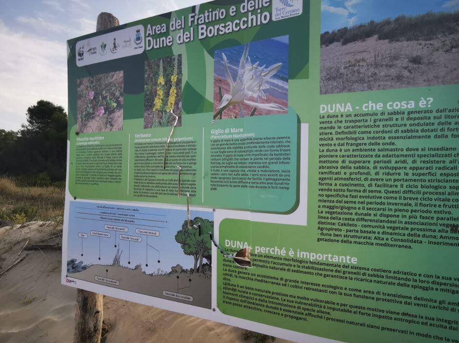 RISERVA DEL BORSACCHIO: VANDALI DANNEGGIANO CARTELLO INFORMATIVO