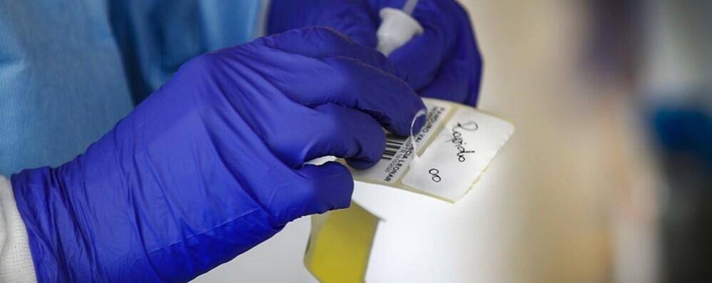 COVID: CRESCONO ASINTOMATICI, CTS CONFERMA LINEA TAMPONI