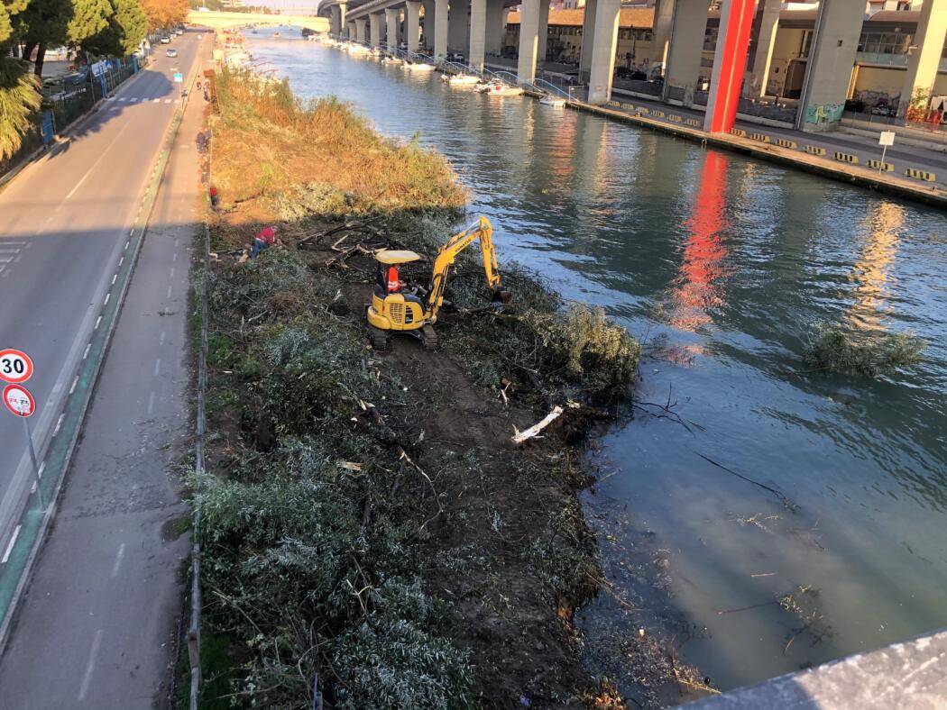 PESCARA: ECOISTITUTO  E ITALIA NOSTRA, “CANCELLATO ULTIMO LEMBO DI VERDE SUL FIUME”