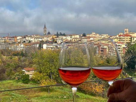 BRILLI DOPO BEVUTA IN CASA DI AMICI, MULTATI PER 400 EURO A SULMONA