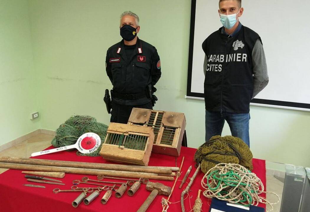 CATTURAVANO FRINGUELLI CON LE RETI: DENUNCIATI DUE SETTANTENNI DI SPOLTORE