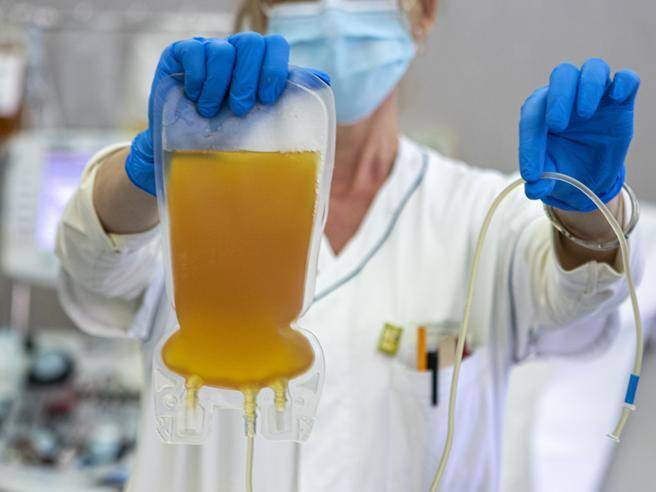 LEGGE BILANCIO: ZENNARO, “EMENDAMENTO BANCA NAZIONALE PLASMA IPERIMMUNE PER COVID”
