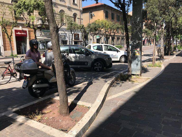PESCARA, PIANO DI RIMOZIONE LECCI: CAMBIA VERDE QUADRILATERO DEL CENTRO