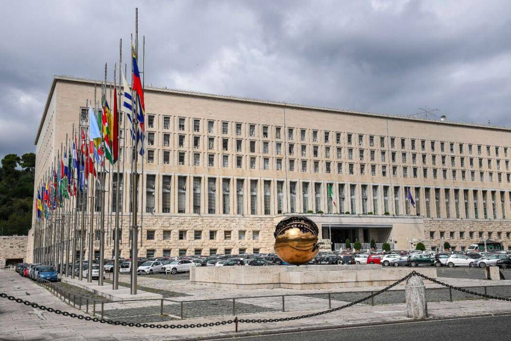 COVID, 400 RAGAZZI ITALIANI IN PARTENZA VERSO LA GRECIA: FARNESINA, “RISCHIO SANITARIO”