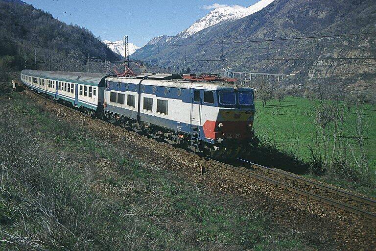 GATTO CACCIATO DA TRENO PER ERRORE,ENPA DIFFIDA TRENITALIA