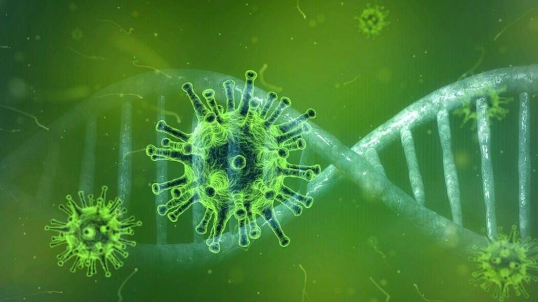 COVID, OMS: “DIFFUSIONE COVID NON DOVUTA A FUGA DA LABORATORIO”