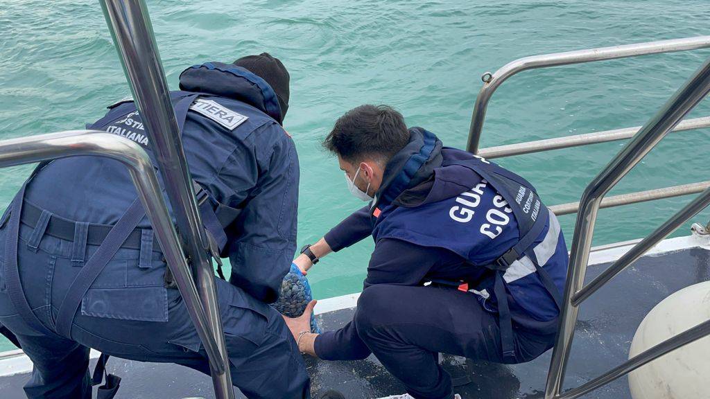 PESCARA: GUARDIA COSTIERA SEQUESTRA 1,6 TONNELLATE PESCI E VONGOLE SENZA TRACCIABILITA’