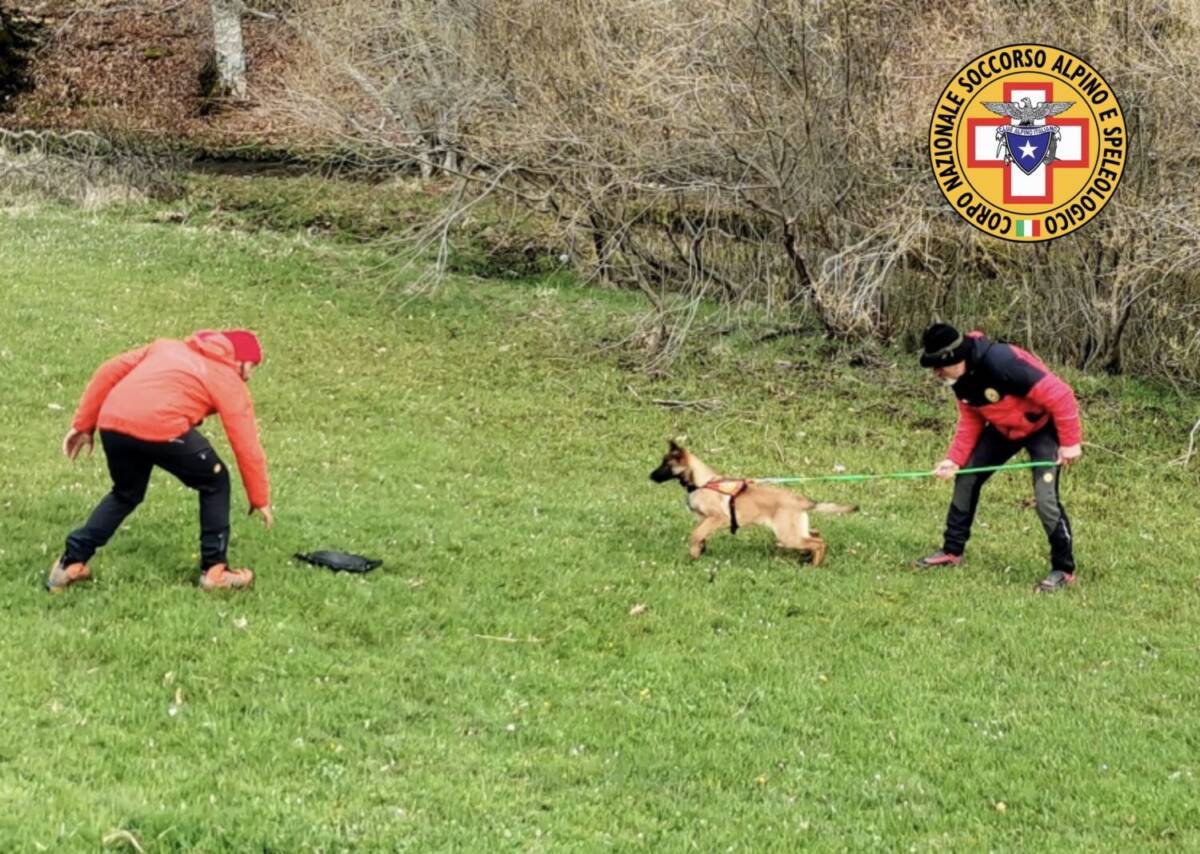 SOCCORSO ALPINO: ANCHE ABRUZZO AD ADDESTRAMENTO NAZIONALE UNITÀ CINOFILE