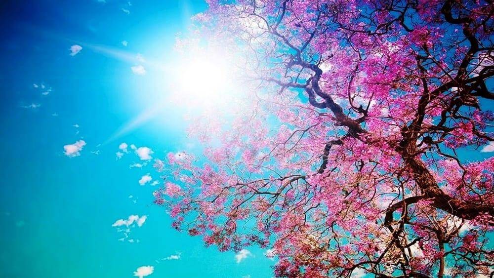 METEO, OGGI ANCORA QUALCHE INISTABILITA’; AVVIO NUOVA SETTIMANA IN PREVALENZA STABILE