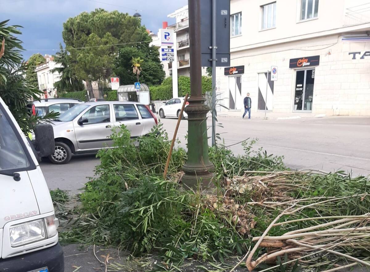 TERAMO, LAVORI DI EFFICIENTAMENTO PUBBLICA ILLUMINAZIONE VERSO LA CONCLUSIONE