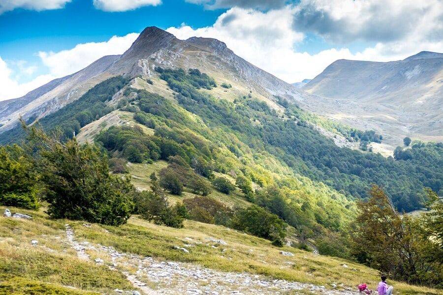 TAGLIO PARCO SIRENTE: SINISTRA ITALIANA, “LO SCEMPIO E’ FATTO”
