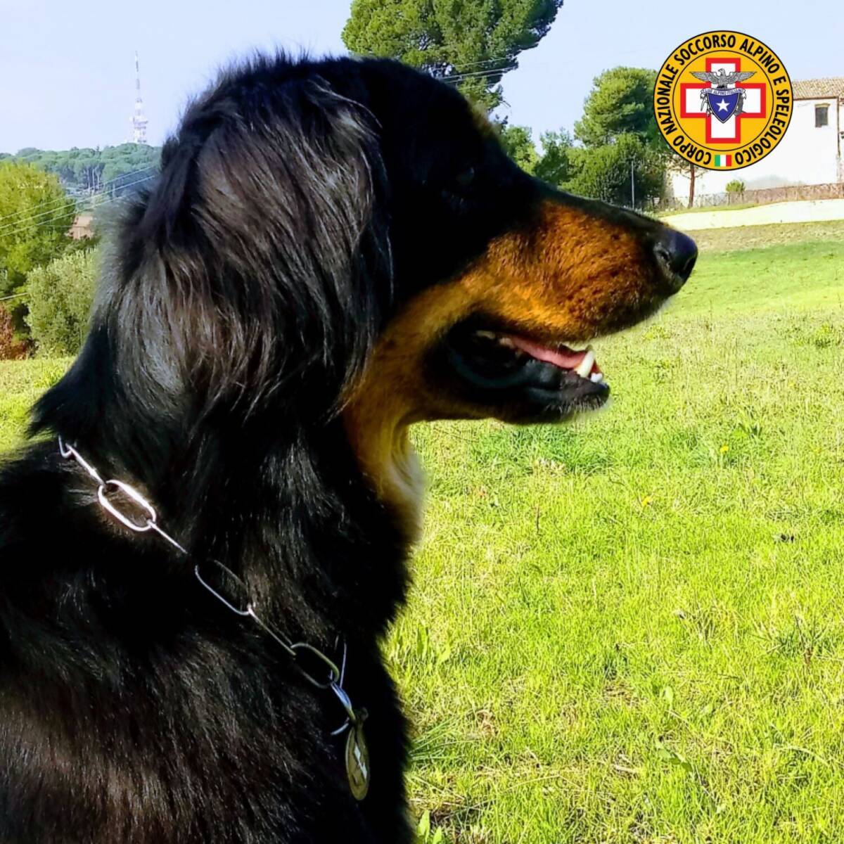 RITROVATO 47ENNE DISPERSO IN CALABRIA, GRAZIE A SUPPORTO CANE MOLECOLARE CNSAS ABRUZZO