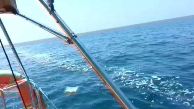 BIODIVERSITA’ A RISCHIO: “MAR ADRIATICO IN SOFFERENZA, SOVRASFRUTTATO 90 PER CENTO STOCK ITTICI”