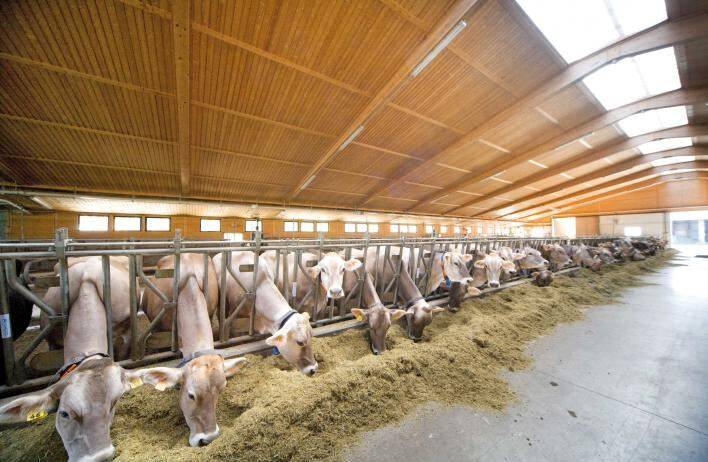 COVID: COLDIRETTI, “COSTI ALLE STELLE, IN ABRUZZO ALLEVAMENTI IN CORTOCIRCUITO”