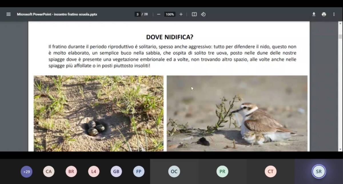 PINETO, 300 STUDEMTI SCOPRONO IN COLLEGAMENTO LE ATTIVITA’ DELL’AMP TORRE DEL CERRANO