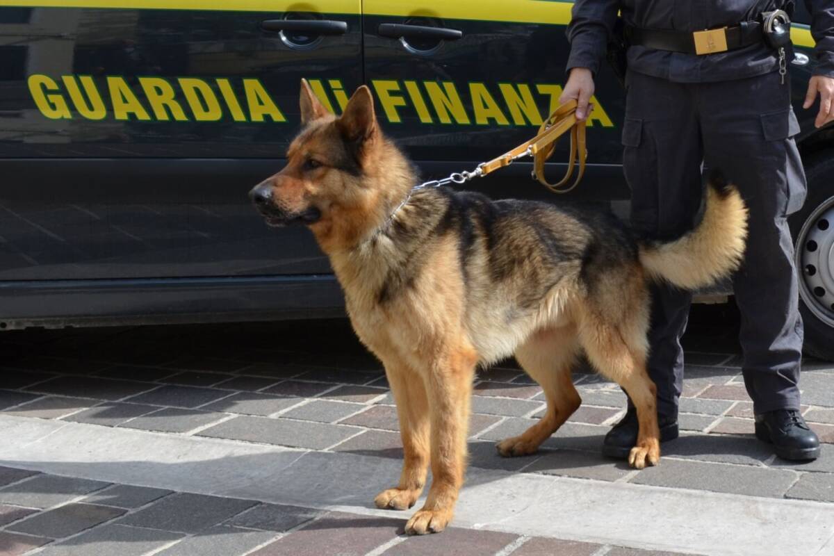 PESCARA, SEQUESTRO DROGA IN PALAZZINA NEL FERRO DI CAVALLO: DENUNCIATI IGNOTI