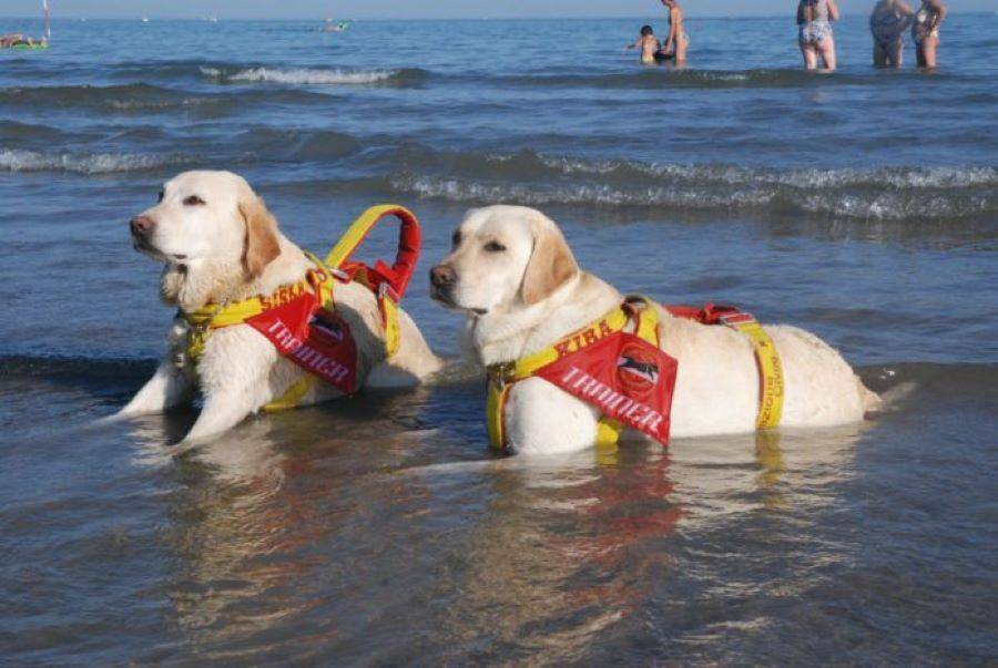 ORTONA, MARE PIU’ SICURO CON I BAGNINI A QUATTRO ZAMPE