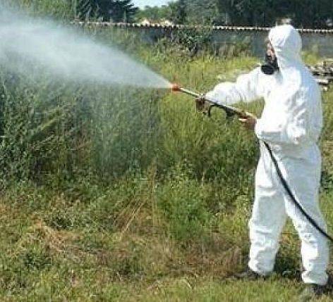 COMUNE L’AQUILA: IL CALENDARIO DEGLI INTERVENTI DI DEMUSCAZIONE