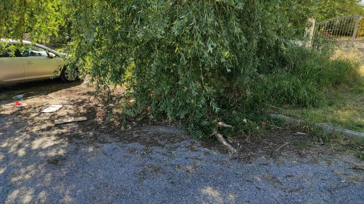 L’AQUILA: “SIRINGHE, IMMONDIZIA E RAMI A RISCHIO CADUTA IN VIA DELLA MAINETTA”, RESIDENTE DENUNCIA