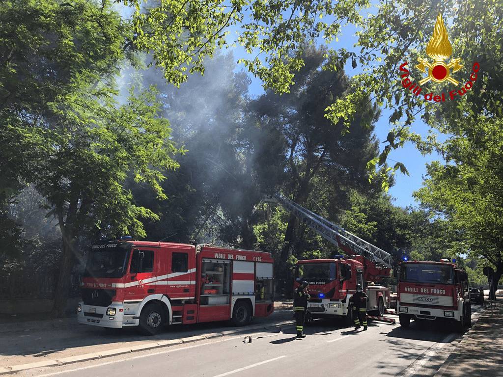 INCENDI PINETA DI PESCARA, PREFETTO INTENSIFICA CONTROLLI