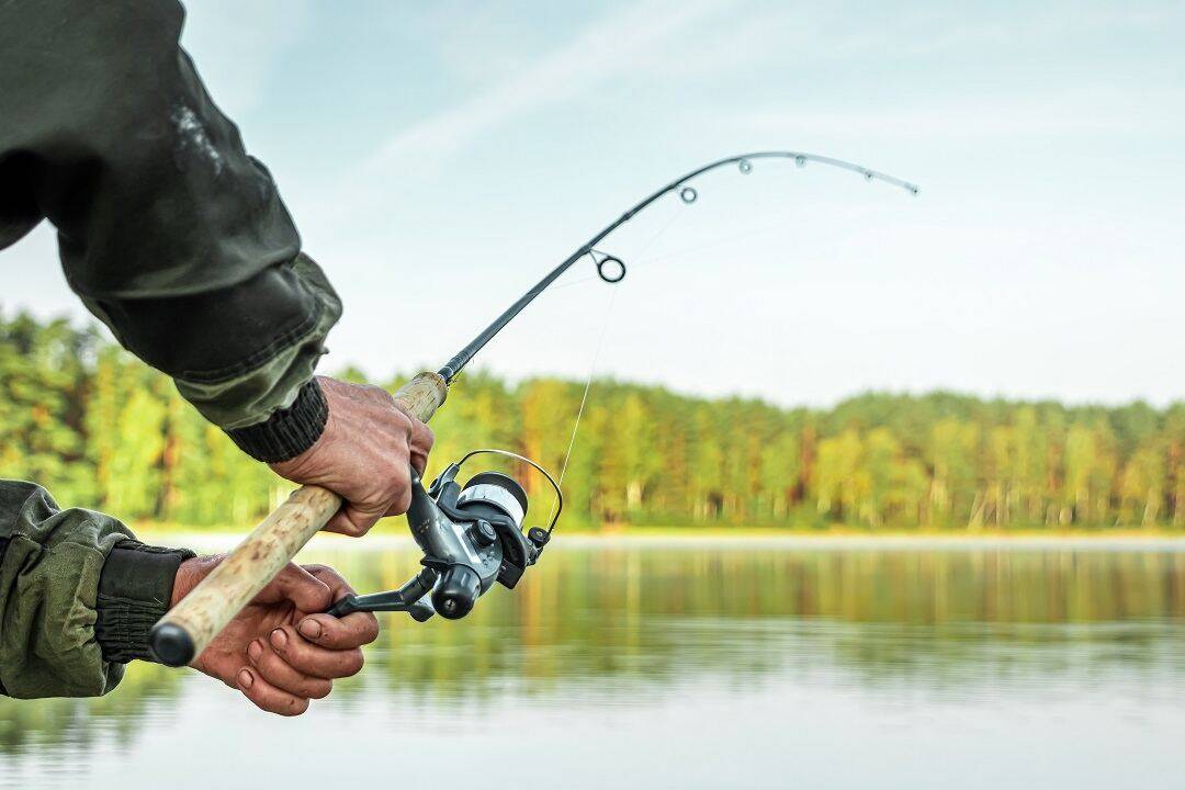 PESCA SPORTIVA: SCOCCIA, “SETTORE FERMO, MARSILIO FACCIA QUALCOSA”