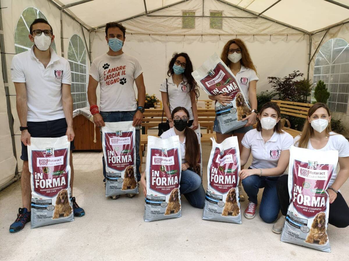 “MI FIDO”: I GIOVANI DEL ROTARACT DELL’AQUILA CONTRO L’ABBANDONO DEI CANI