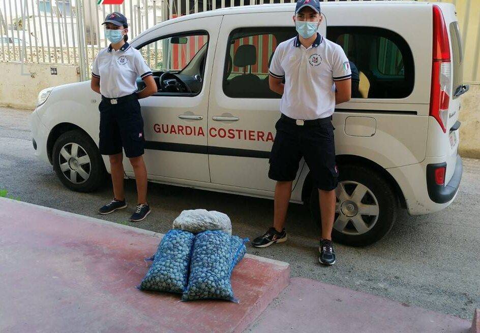 ORTONA: ETICHETTE FALSIFICATE E COMMERCIO ABUSIVO DI VONGOLE. DENUNCE E SEQUESTRI