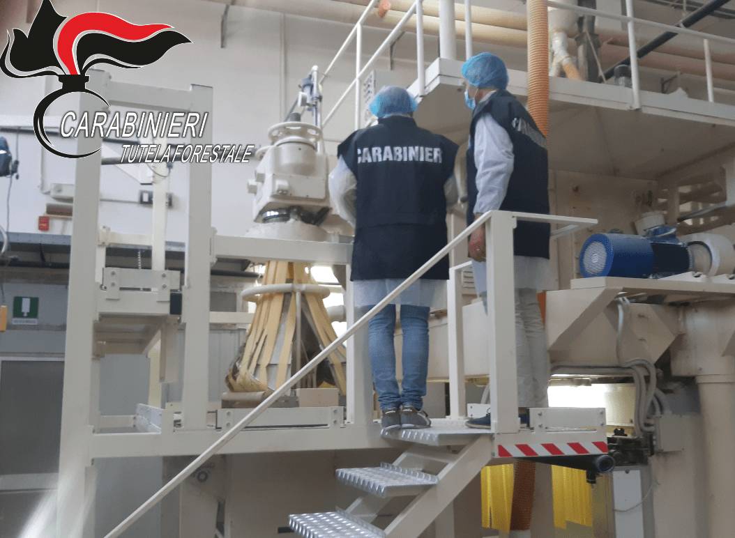 CONTROLLI NEI PASTIFICI DI ABRUZZO E MOLISE, SANZIONI PER IRREGOLARITA’