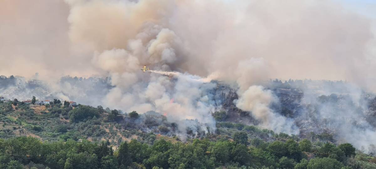INCENDI, ECCO IL DECALOGO SALVA BOSCHI. COLDIRETTI: CON ROGHI E CALDO A RISCHIO BIODIVERSITA’
