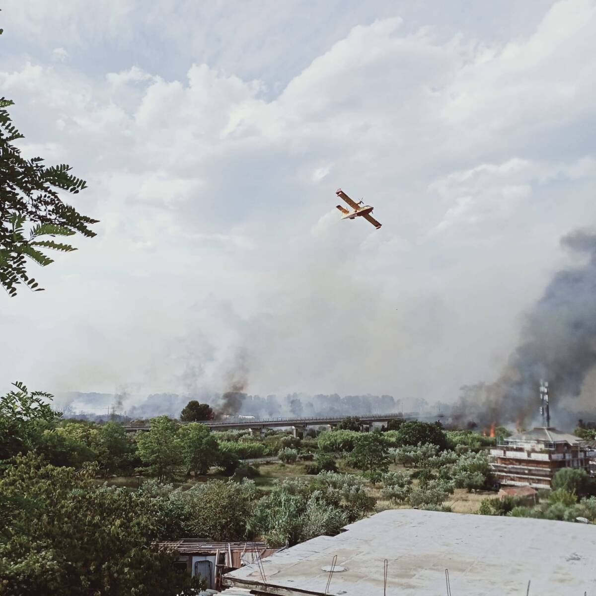 INCENDI ABRUZZO, PAOLUCCI: “BILANCIO DRAMMATICO, ORA PROGRAMMA INTERVENTI GOVERNO E REGIONE”