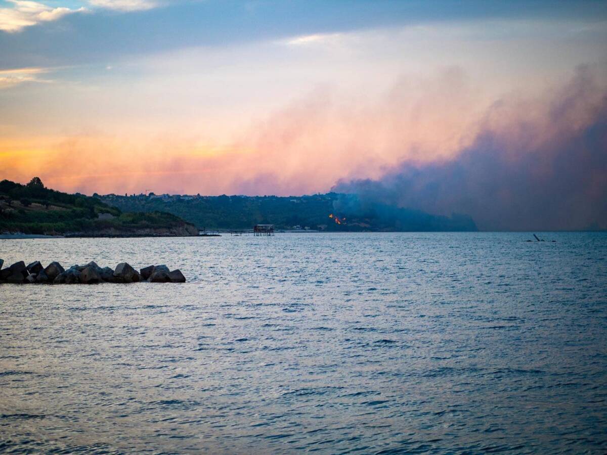 INCENDI ABRUZZO, DANNI AZIENDE AGRICOLE: “ALLO STUDIO PROPOSTE PER SOSTEGNI”