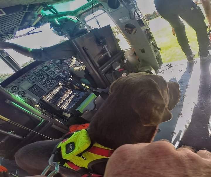 AVEZZANO, VIETATO INGRESSO A CANE SOCCORRITORE. LEGA: “GESTO INACCETTABILE SENZA GIUSTIFICAZIONI”