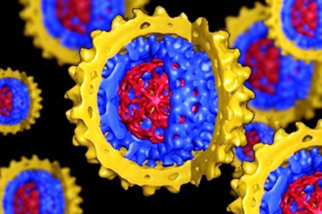 “OLTRE IL COVID SERRARE RANGHI CONTRO ALTRI VIRUS”, GRIMALDI, “ATTENZIONE AD AVIARIA ED EPATITE E”
