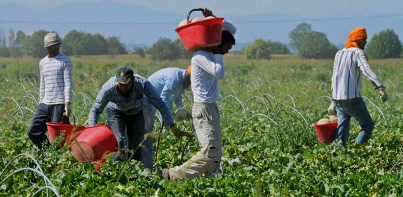 FUCINO: LA PIAGA DEL  CAPORALATO NEI CAMPI, ALTRI 6 OPERAI EXTRACOMUNITARI IN NERO